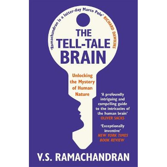 Tell-Tale Brain image 0