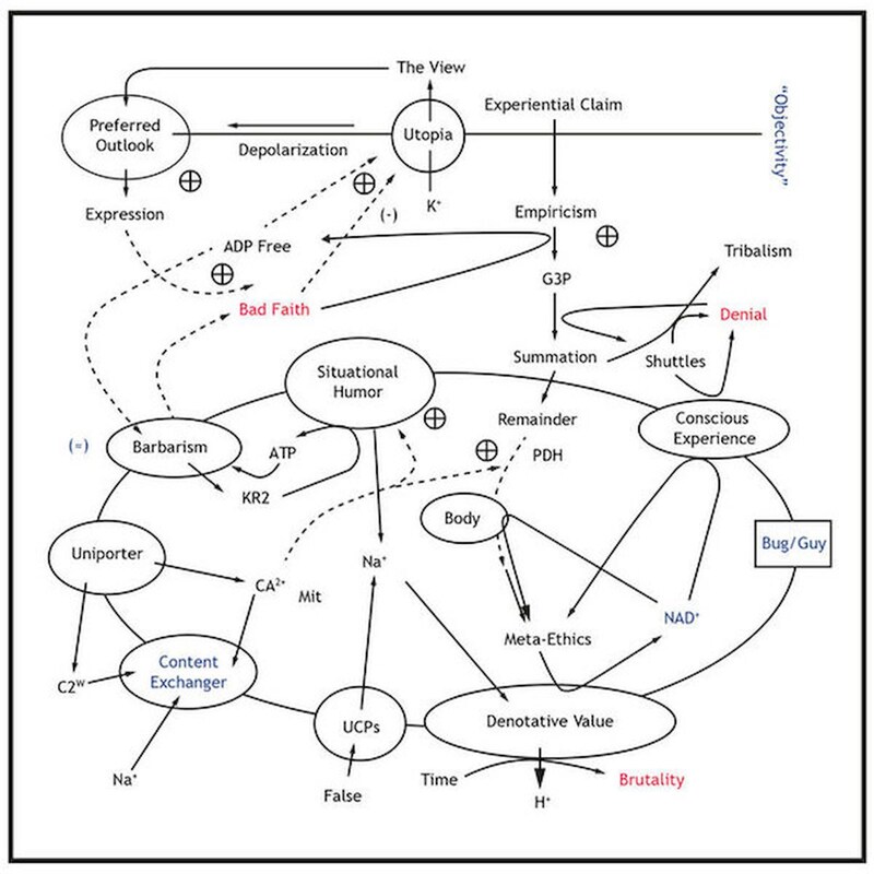 The View From Nowhere (LP)