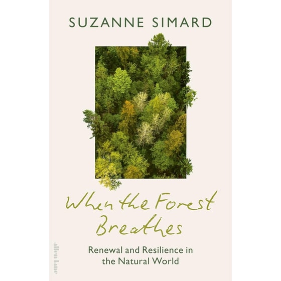When the Forest Breathes image 0