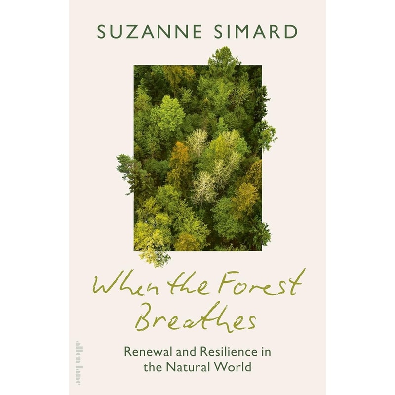 When the Forest Breathes