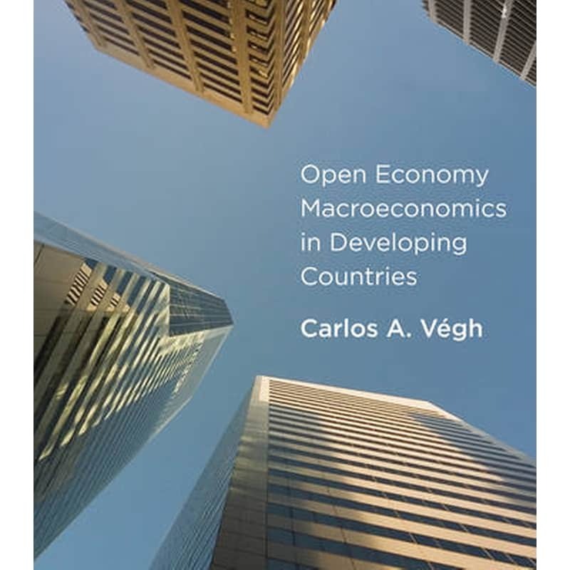 Open Economy Macroeconomics in Developing Countries