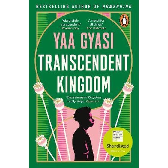 Transcendent Kingdom image 0