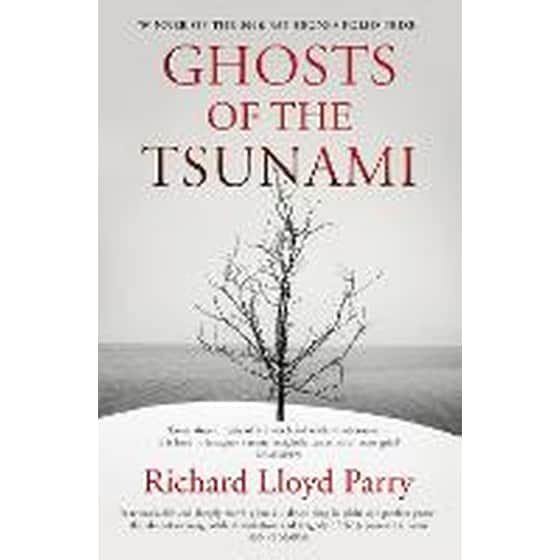 Ghosts of the Tsunami image 0