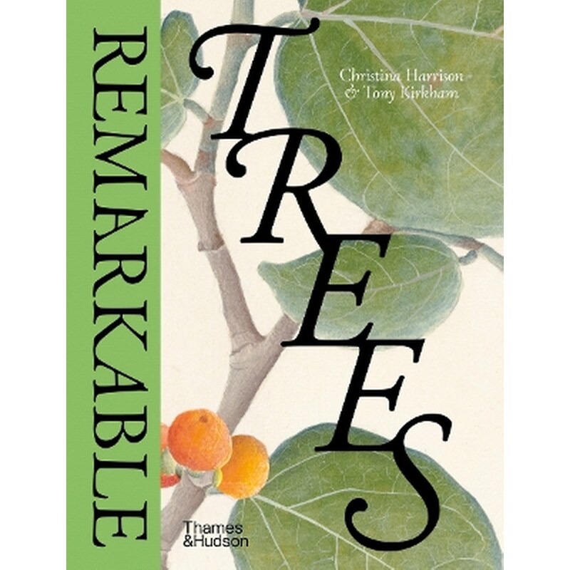 Remarkable Trees