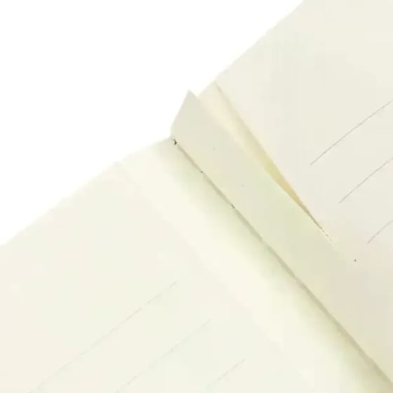 Τετράδιο Paperblanks Ruled A5 Violet Fairy image 4