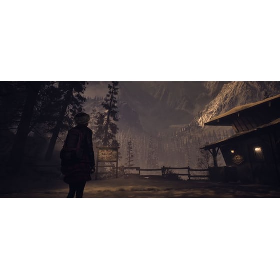 Until Dawn - PS5 image 11