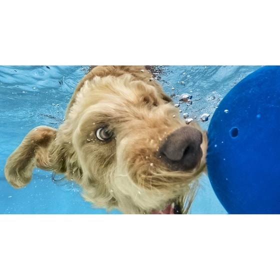 Action Camera GoPro Hero+ Full HD WiFi image 4
