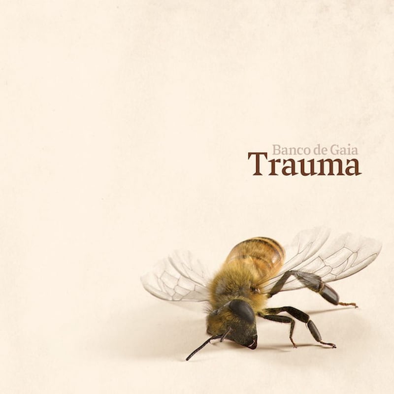 Trauma (LP)