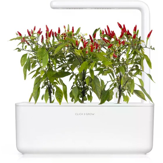 Κάψουλες Click and Grow 3 Τμχ - Piri Piri Chilli image 1