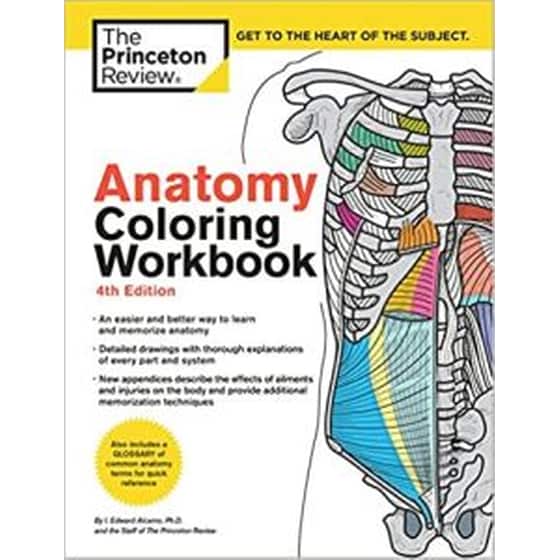 Anatomy Coloring Workbook, 4Th Edition image 0