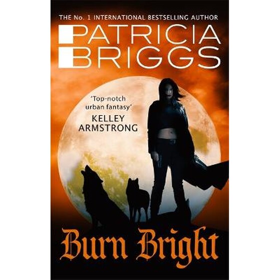 Burn Bright image 0