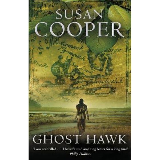 Ghost Hawk image 0
