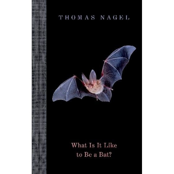 What Is It Like to Be a Bat? image 0
