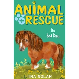 The Sad Pony
