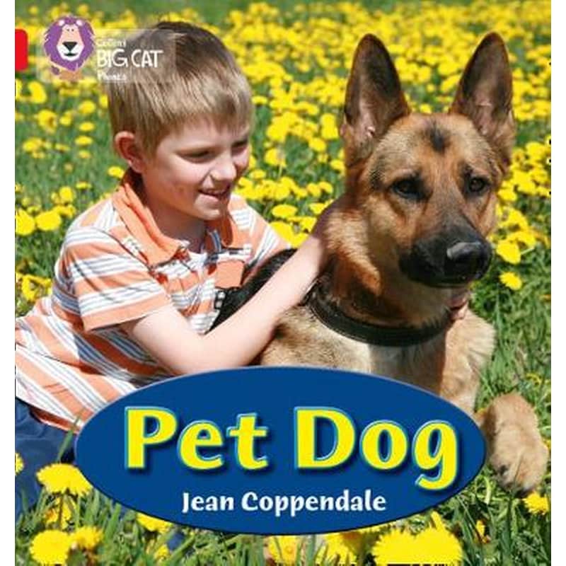 PET DOG Pet Dog- Band 02A/Red A