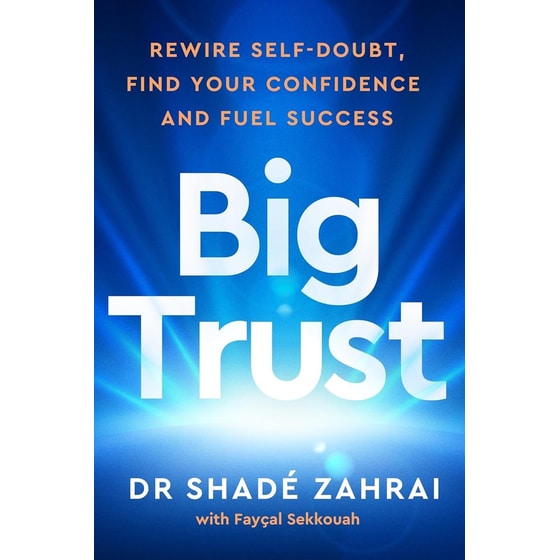 Big Trust image 0