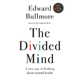 The Divided Mind