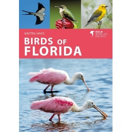 Birds of Florida