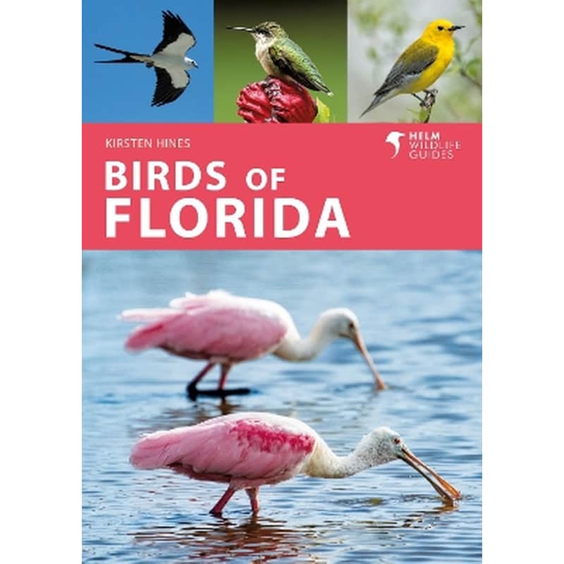 Birds of Florida