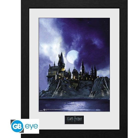 Αφίσα Harry Potter Hogwarts Painted σε Ξύλινη Κορνίζα Κάθετη 31x41 cm image 0