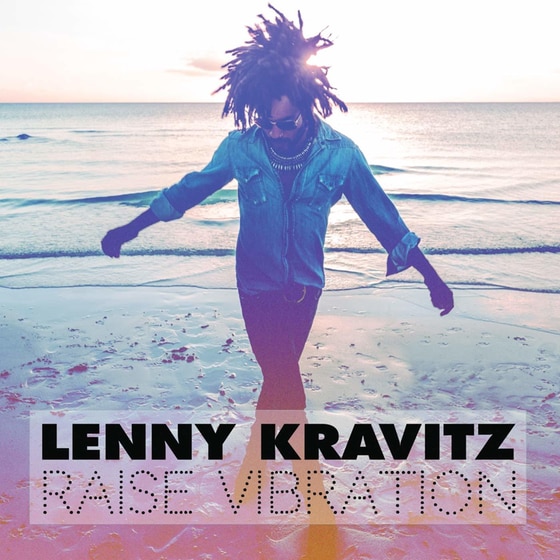 Raise Vibration (Deluxe) image 0
