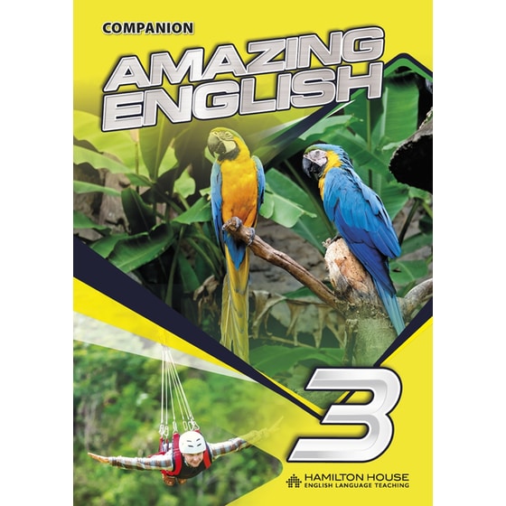 Amazing English 3 Companion image 0