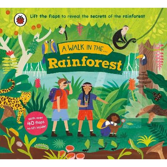A Walk in the Rainforest image 0