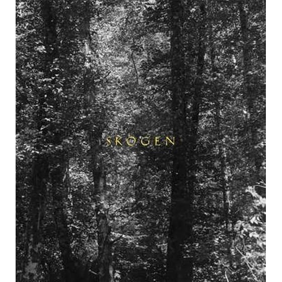 Skogen image 0