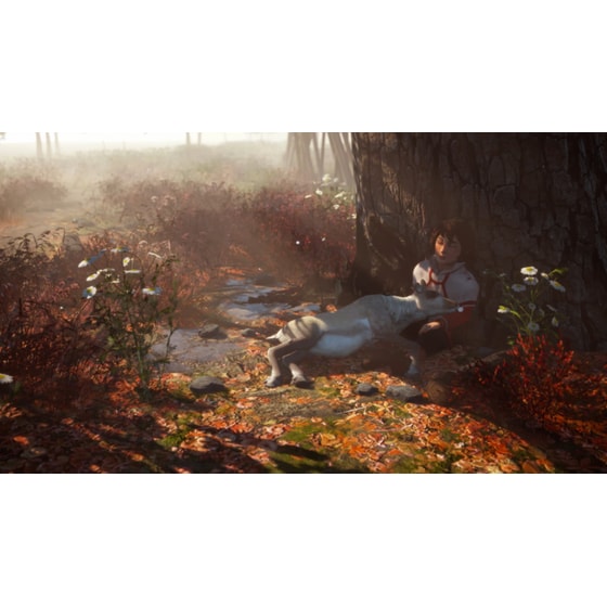 Skabma: Snowfall - PS4 image 25