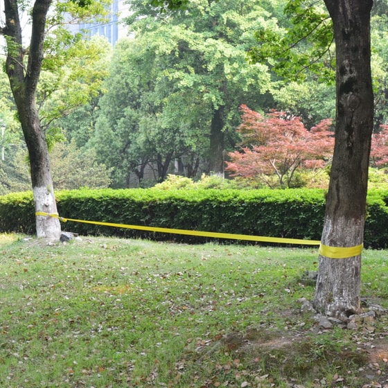 Ιμάντας Ισορροπίας VidaXL Slackline 1500x5 cm - Κίτρινο image 1