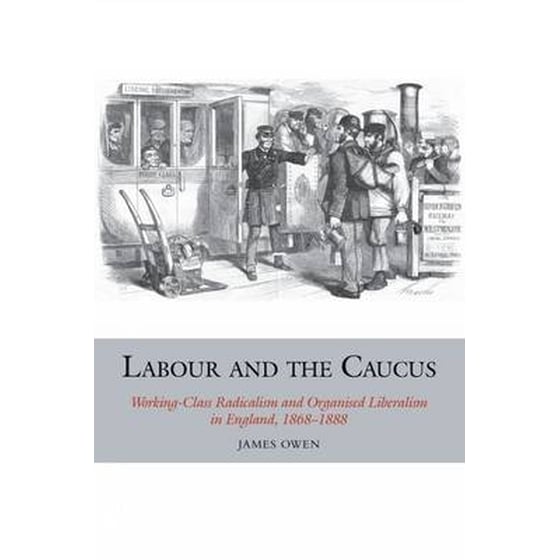 Labour and the Caucus image 0
