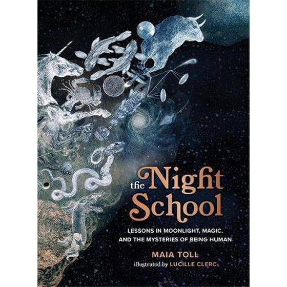 The Night School : Lessons in Moonlight, Magic, and the Mysteries of Being Human image 0