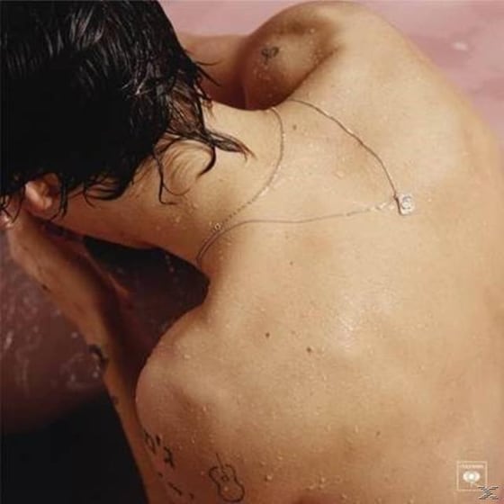 Harry Styles image 1