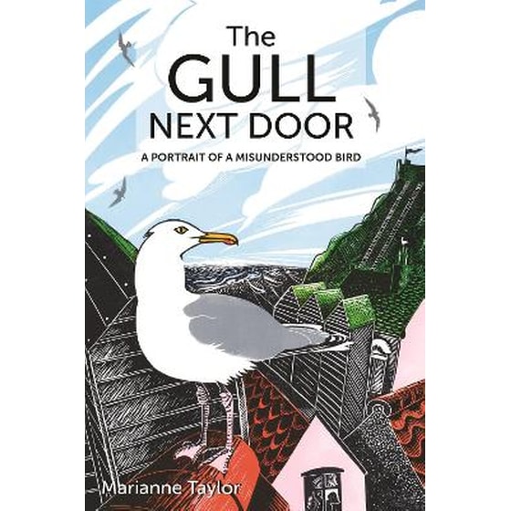 The Gull Next Door image 0