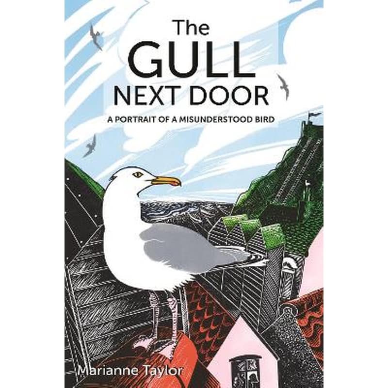 The Gull Next Door