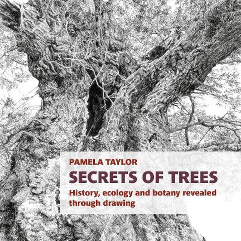 Secrets of Trees