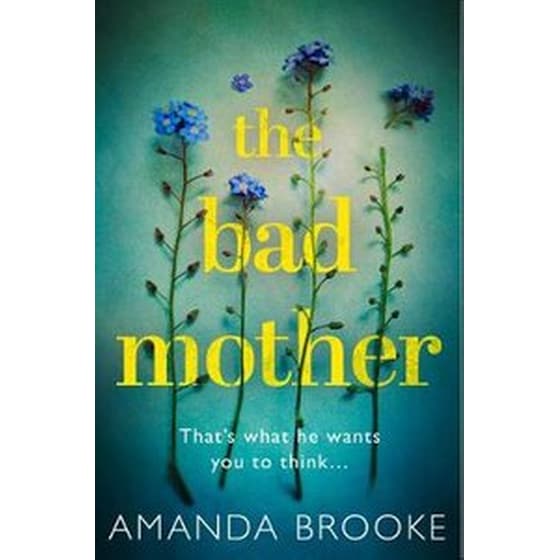 The Bad Mother image 0