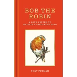 Bob the Robin