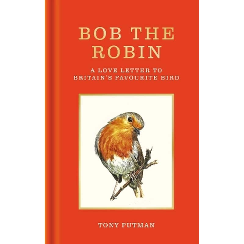 Bob the Robin