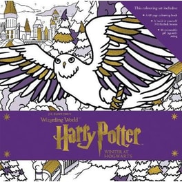 Harry Potter- Winter at Hogwarts- A Magical Colouring Set