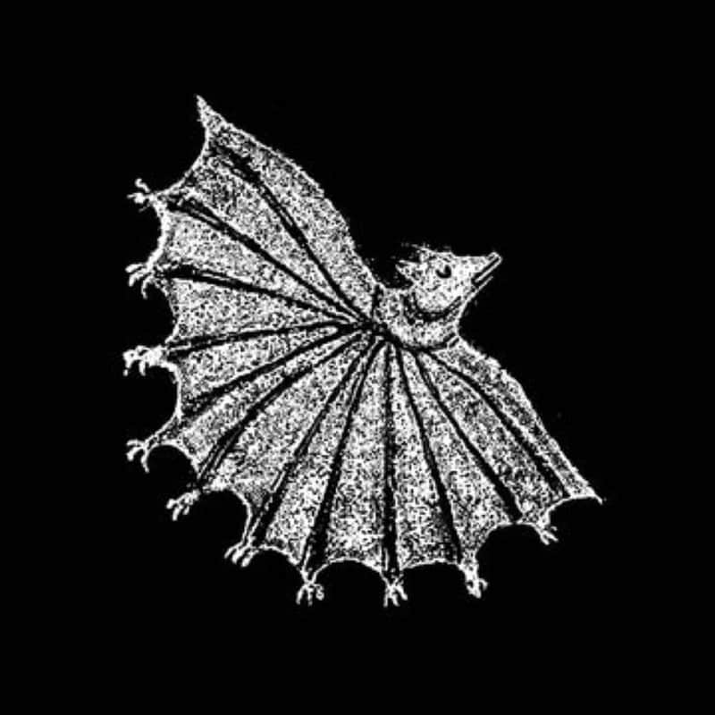 Ignore Grief (LP Colored)