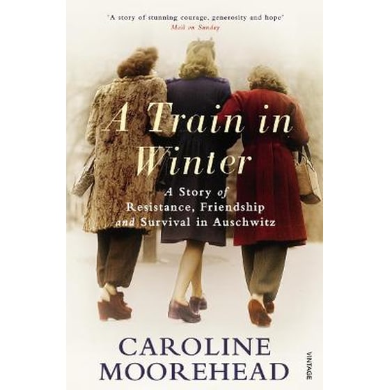 Train in Winter image 0