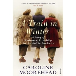 Train in Winter