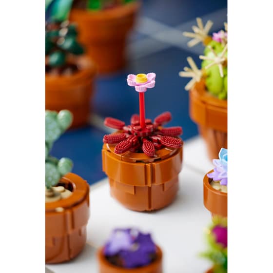 LEGO® Icons Tiny Plants (10329) image 4