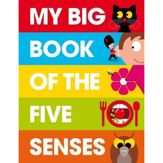 My Big Book of the Five Senses image 0