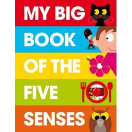My Big Book of the Five Senses