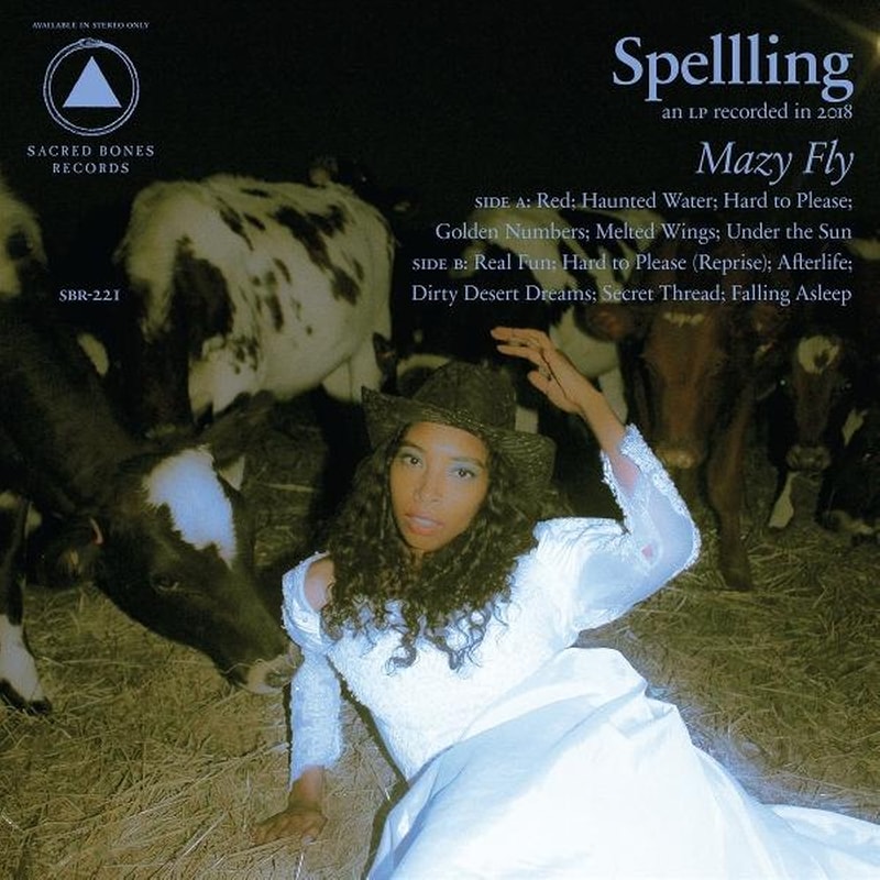 Mazy Fly (Blue LP)