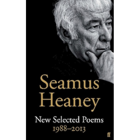 New Selected Poems 1988-2013 image 0