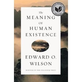 The Meaning of Human Existence