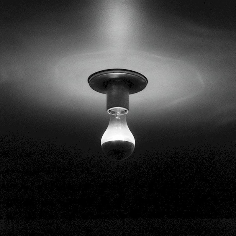 Day-Blind (Limited Transparent Clear)